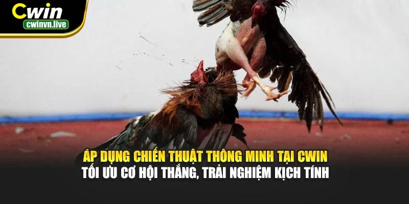 Áp dụng chiến thuật thông minh tại CWIN – Tối ưu cơ hội thắng, trải nghiệm kịch tính
