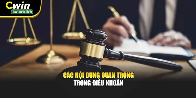 Các nội dung quan trọng trong điều khoản